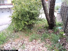 Ovitrappola per Aedes albopictus n.751