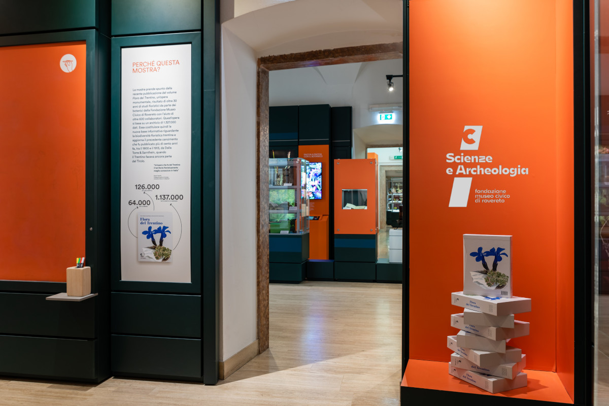 Museo di Scienze e Archeologia